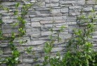 Tougagreen-walls-4.jpg; ?>